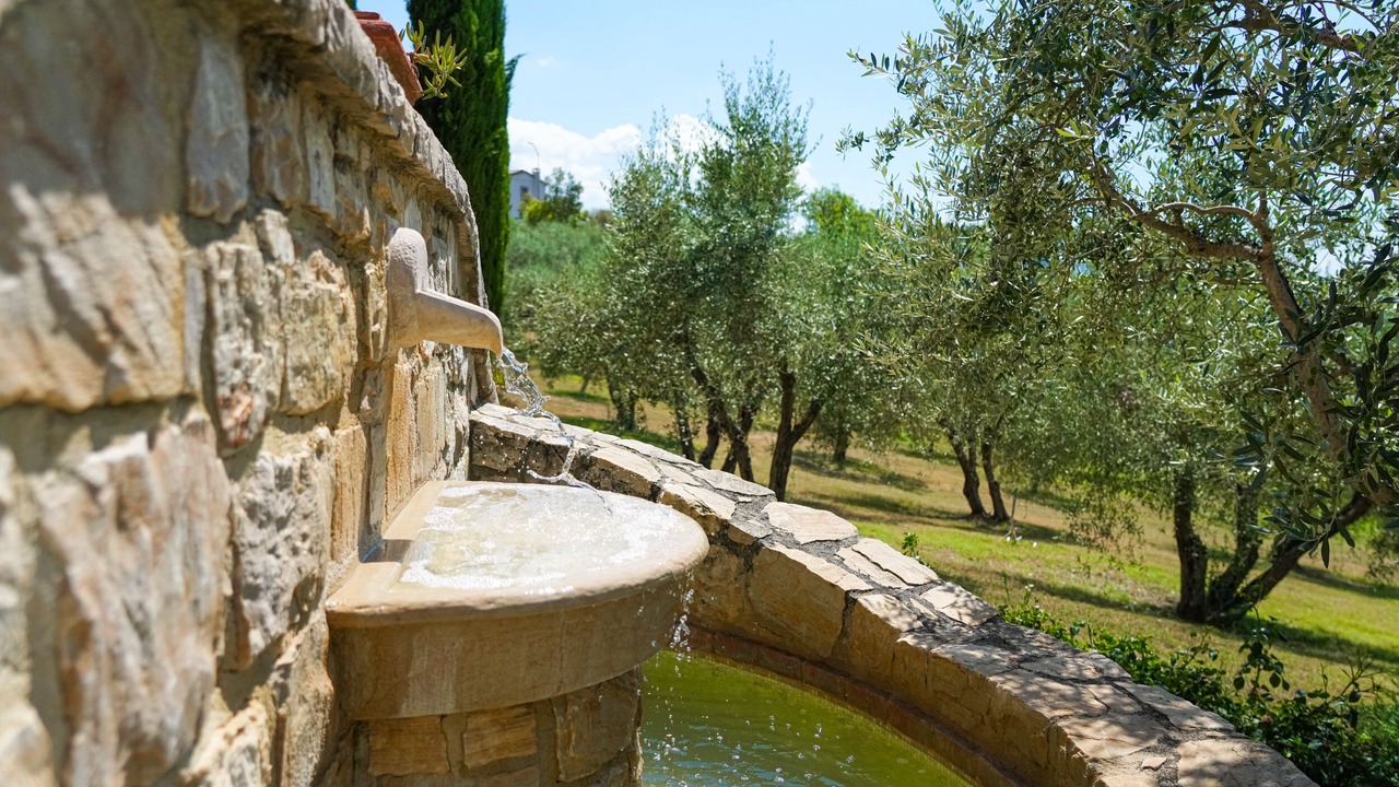 Photo of Outdoor in Collazzone