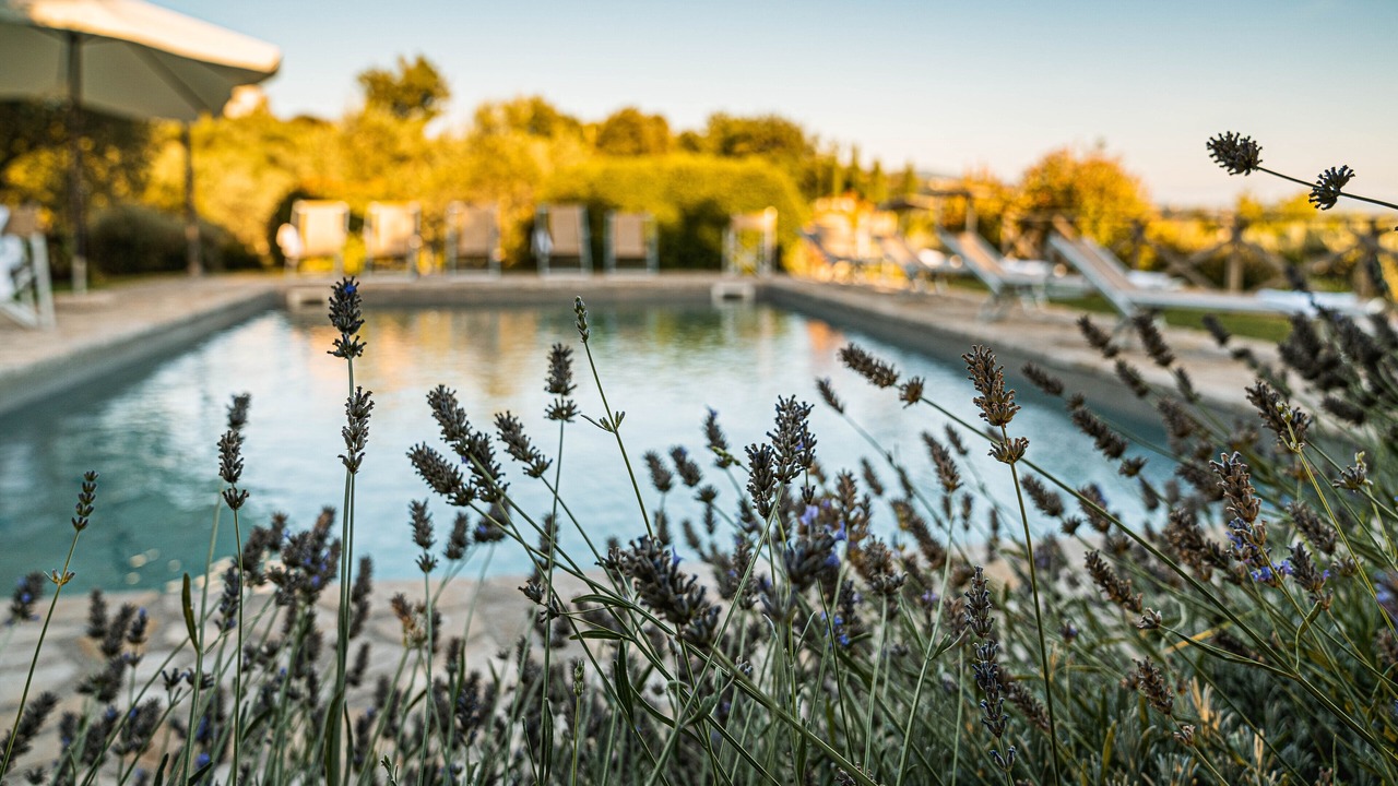 Photo of Outdoor in Collazzone