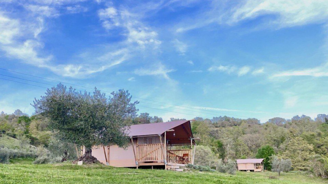 Photo of Outdoor in Scansano