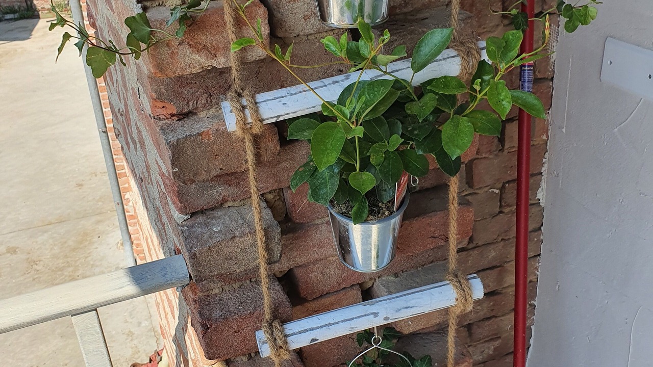 Photo of Outdoor in Abbazia