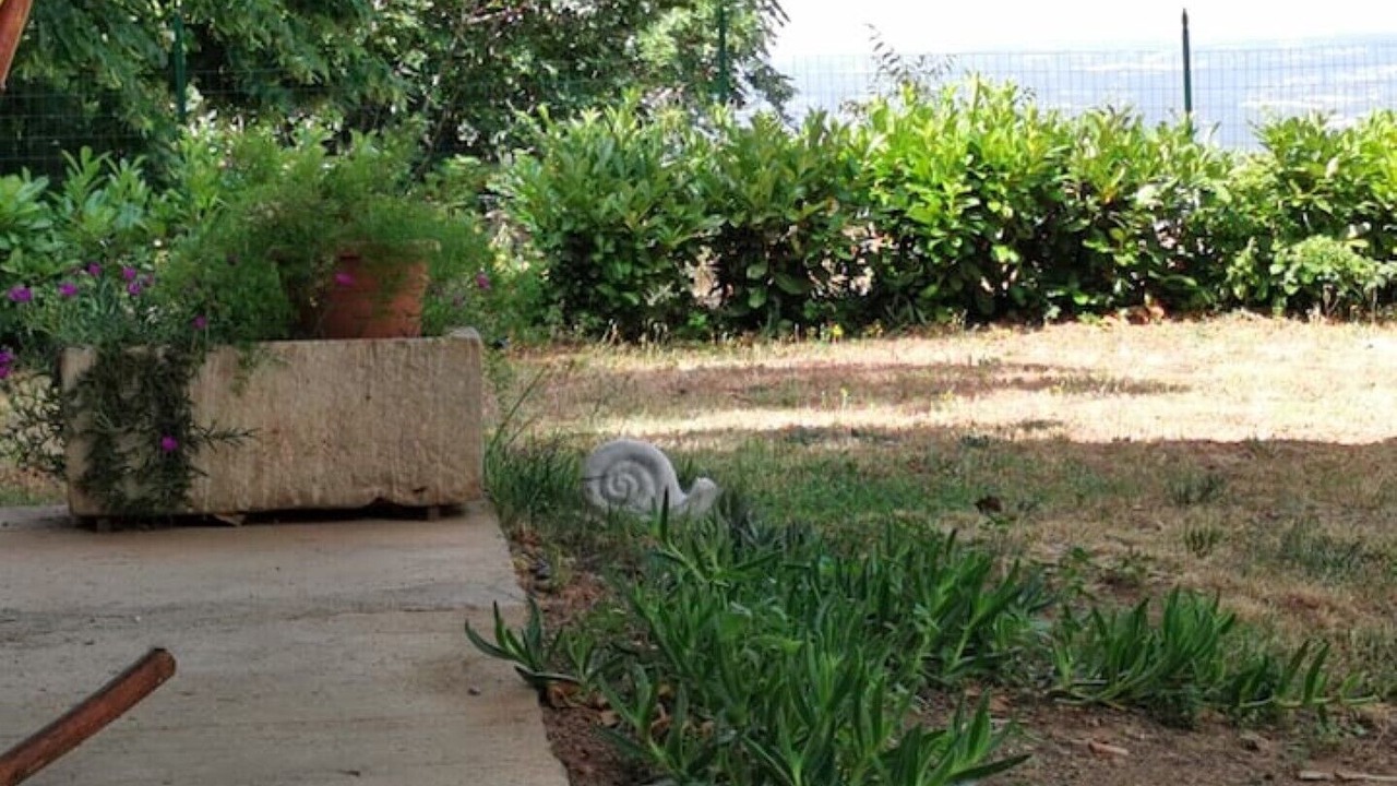 Photo of Outdoor in Guardea