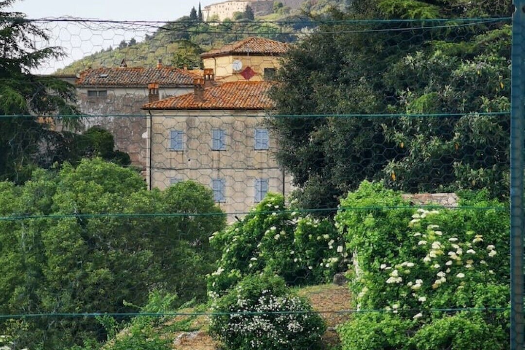 Photo of Outdoor in Guardea