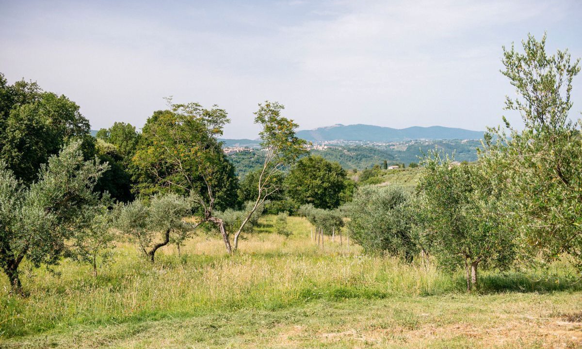Photo of Others in Torricella in Sabina