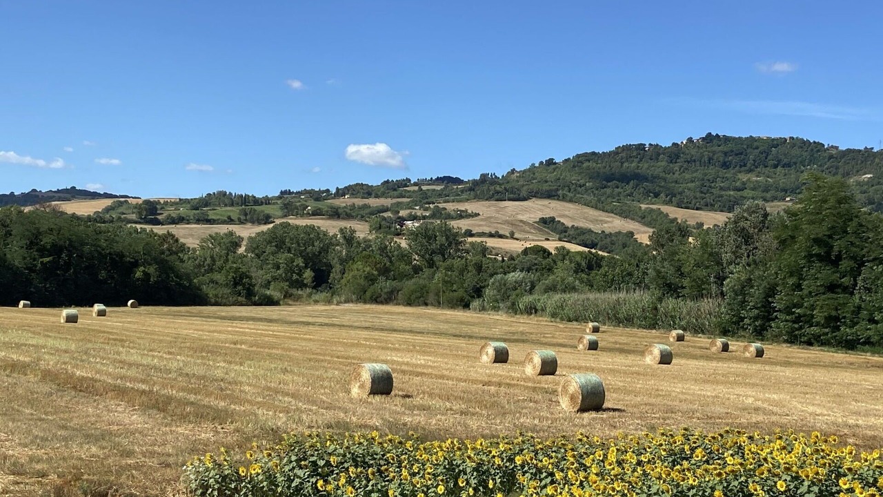 Photo of Others in Guardistallo