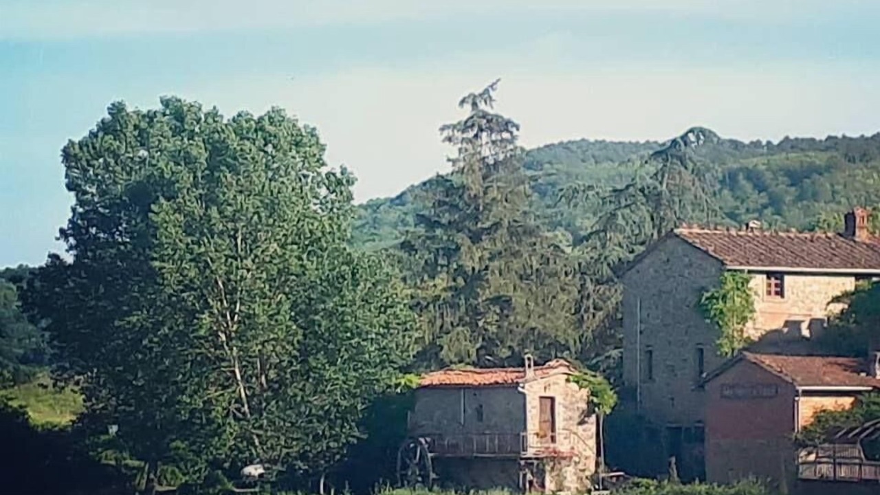 Photo of Others in Porrena