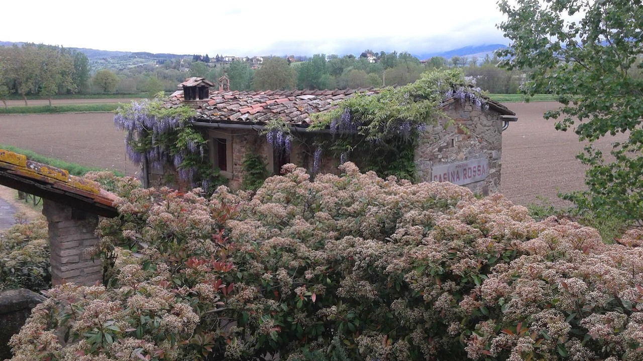 Photo of Outdoor in Porrena