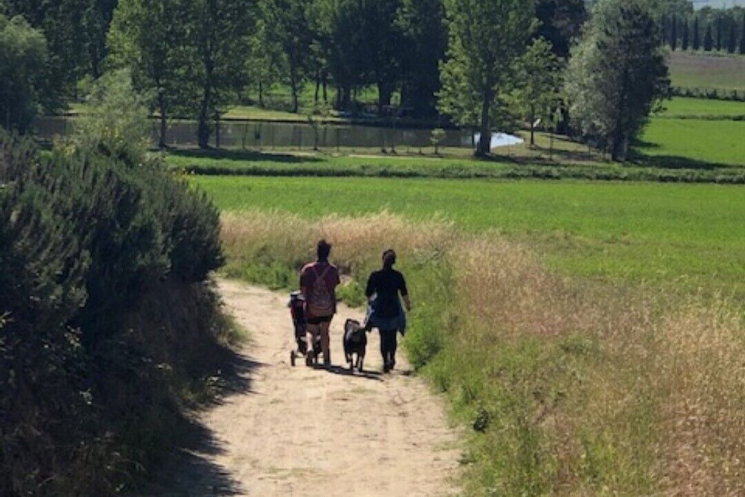 Photo of Outdoor in Stacciola