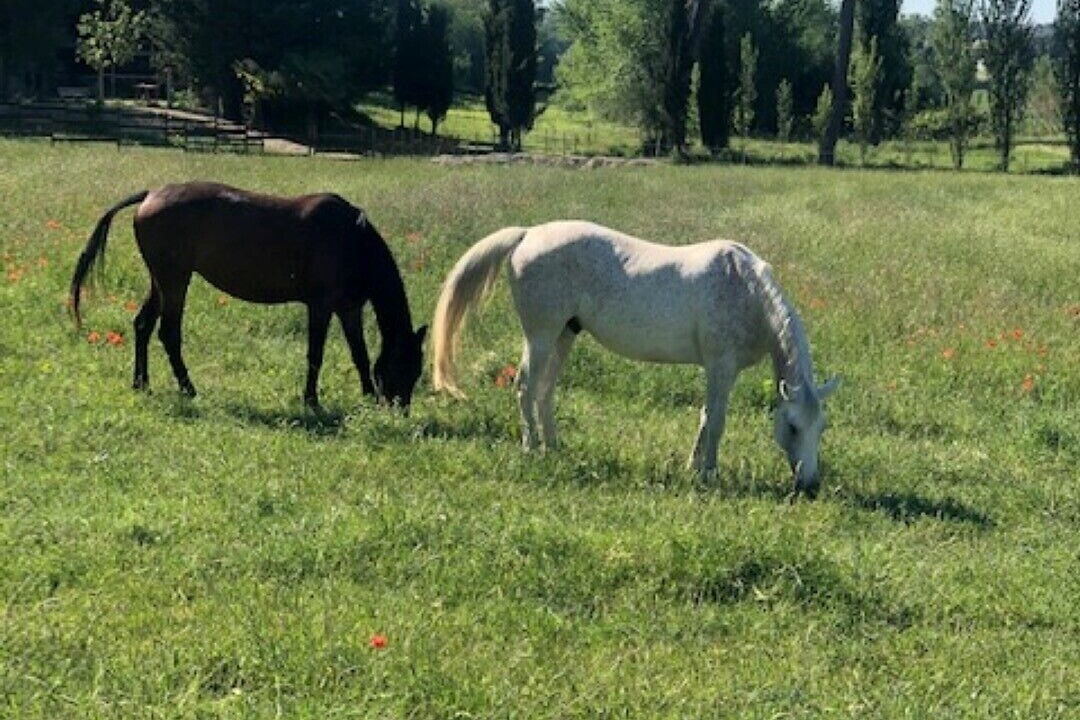 Photo of Outdoor in Stacciola