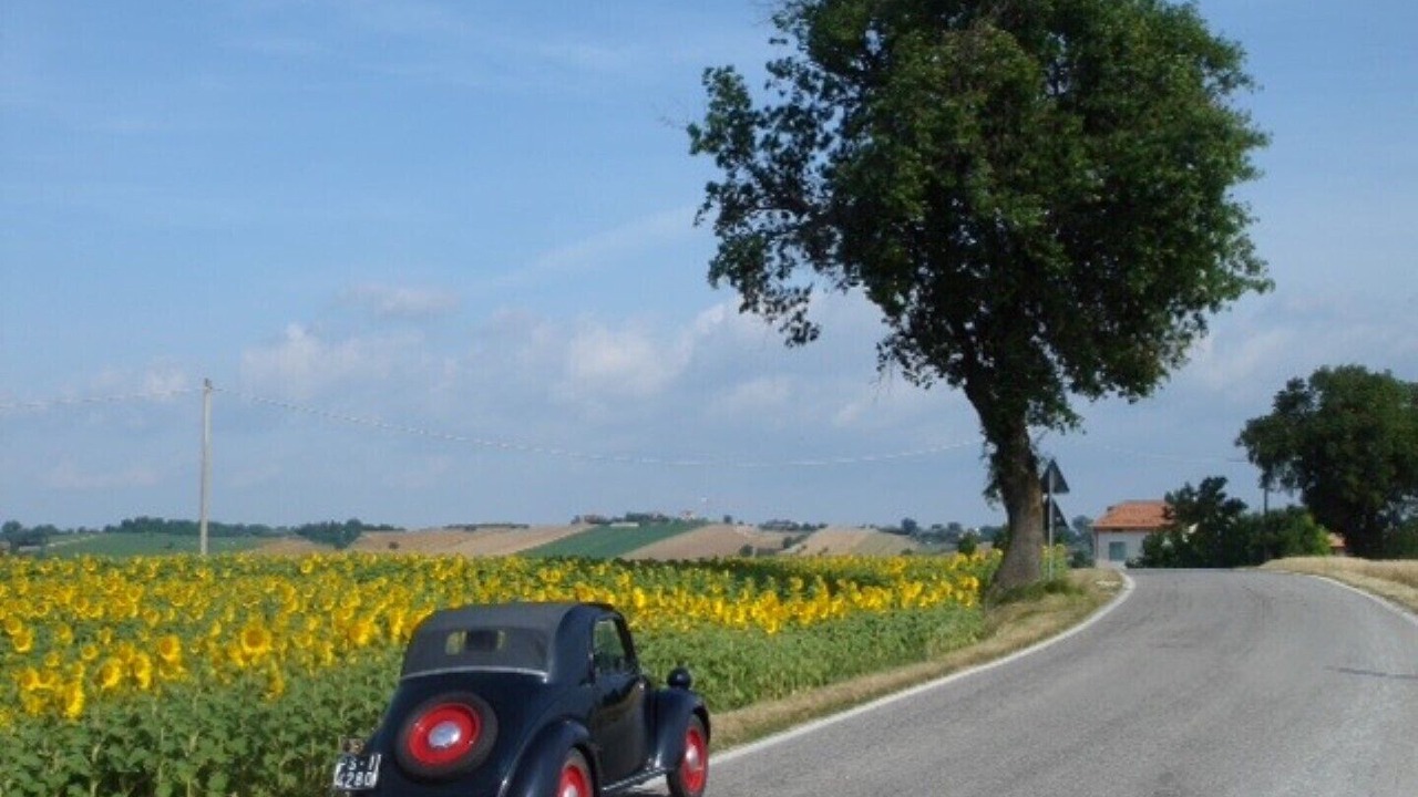 Photo of Others in Stacciola