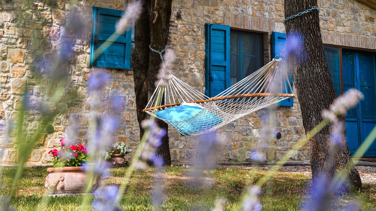 Photo of Outdoor in Collazzone