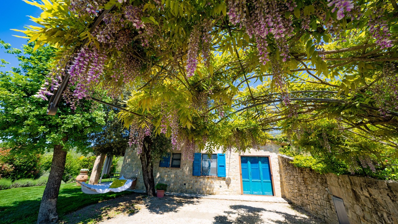 Photo of Outdoor in Collazzone