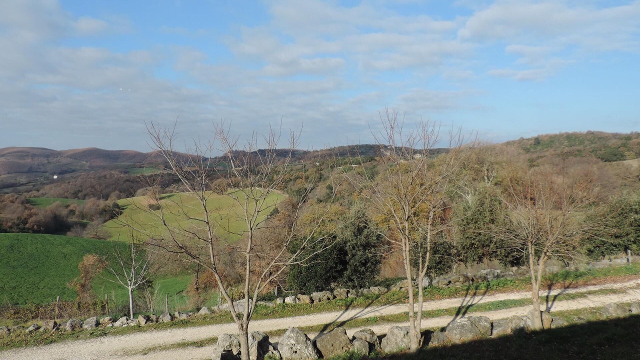 Photo of Others in La Campigliola