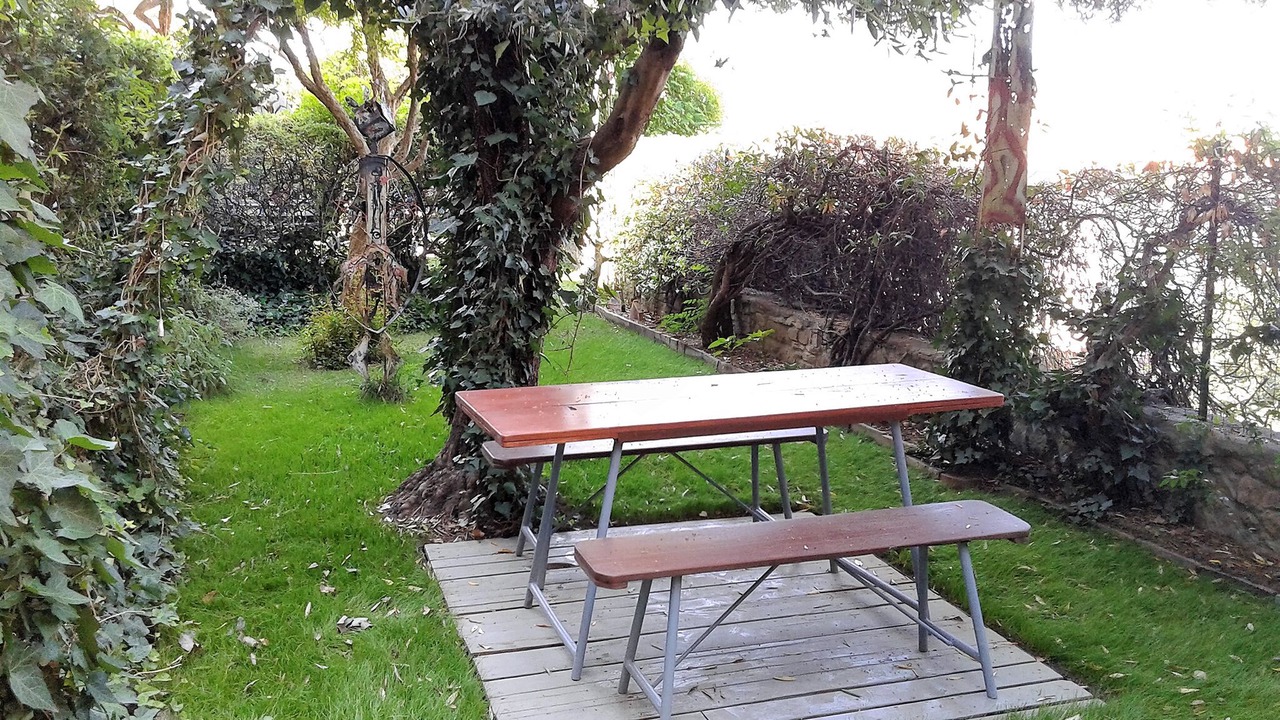 Photo of Outdoor in Scarlino