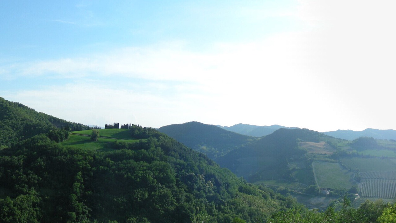 Photo of Others in Modigliana