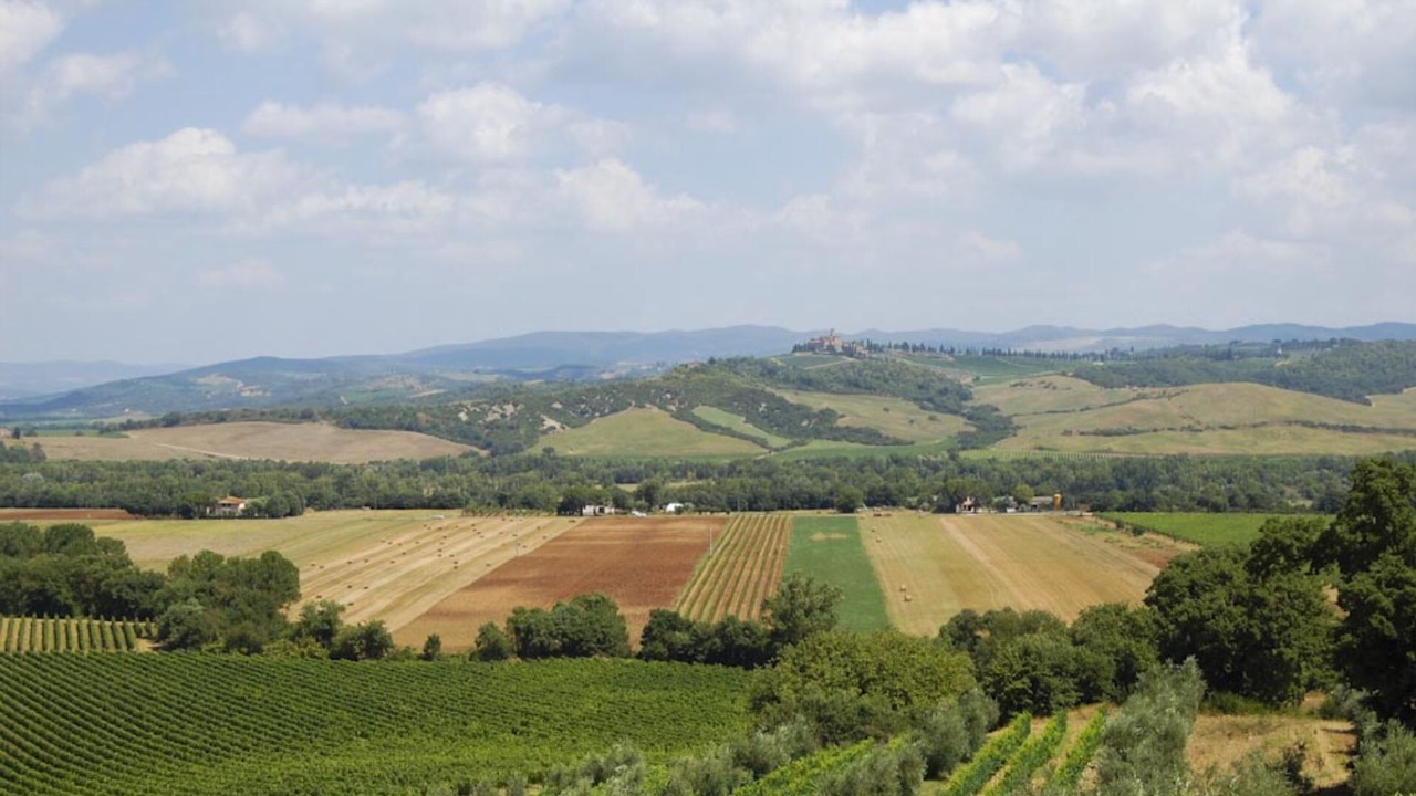 Photo of Outdoor in Cinigiano