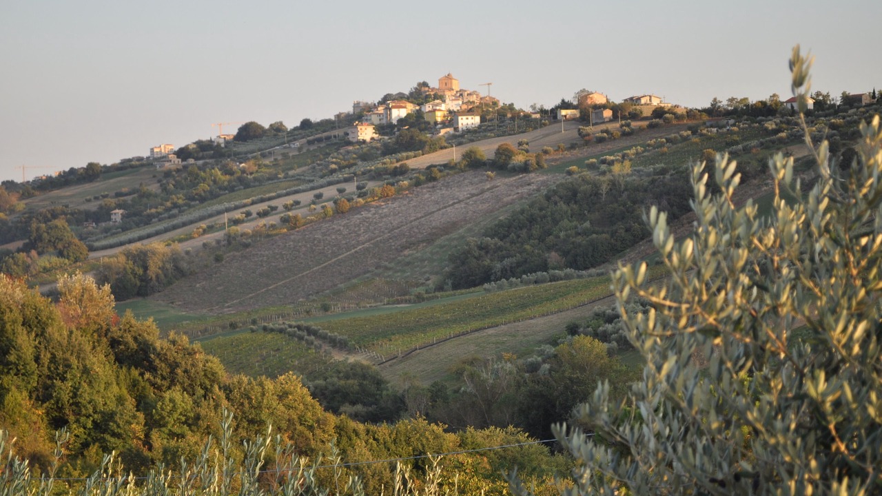 Photo of Outdoor in Monteprandone