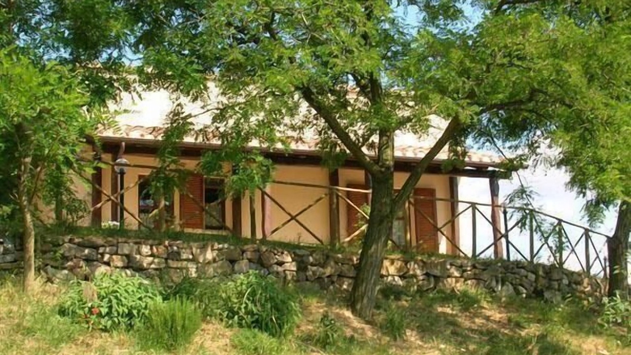 Photo of Outdoor in Elmo