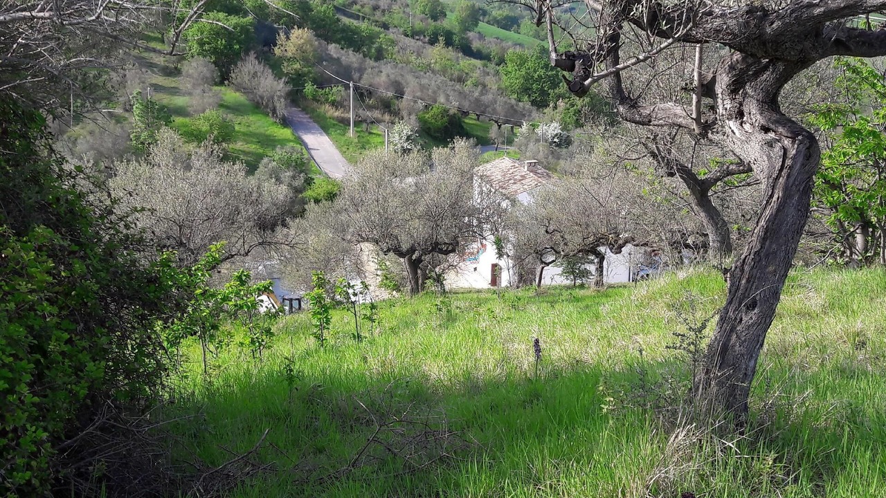 Photo of Outdoor in Picciano