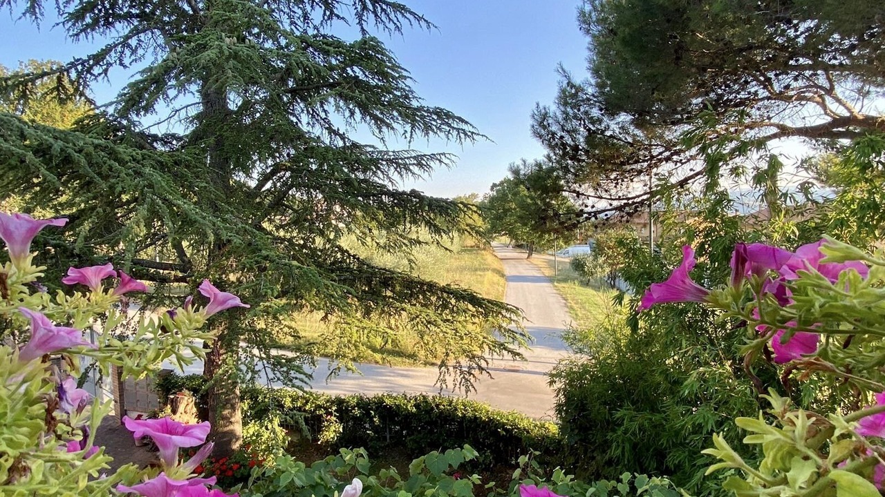 Photo of Outdoor in Gualdo Tadino