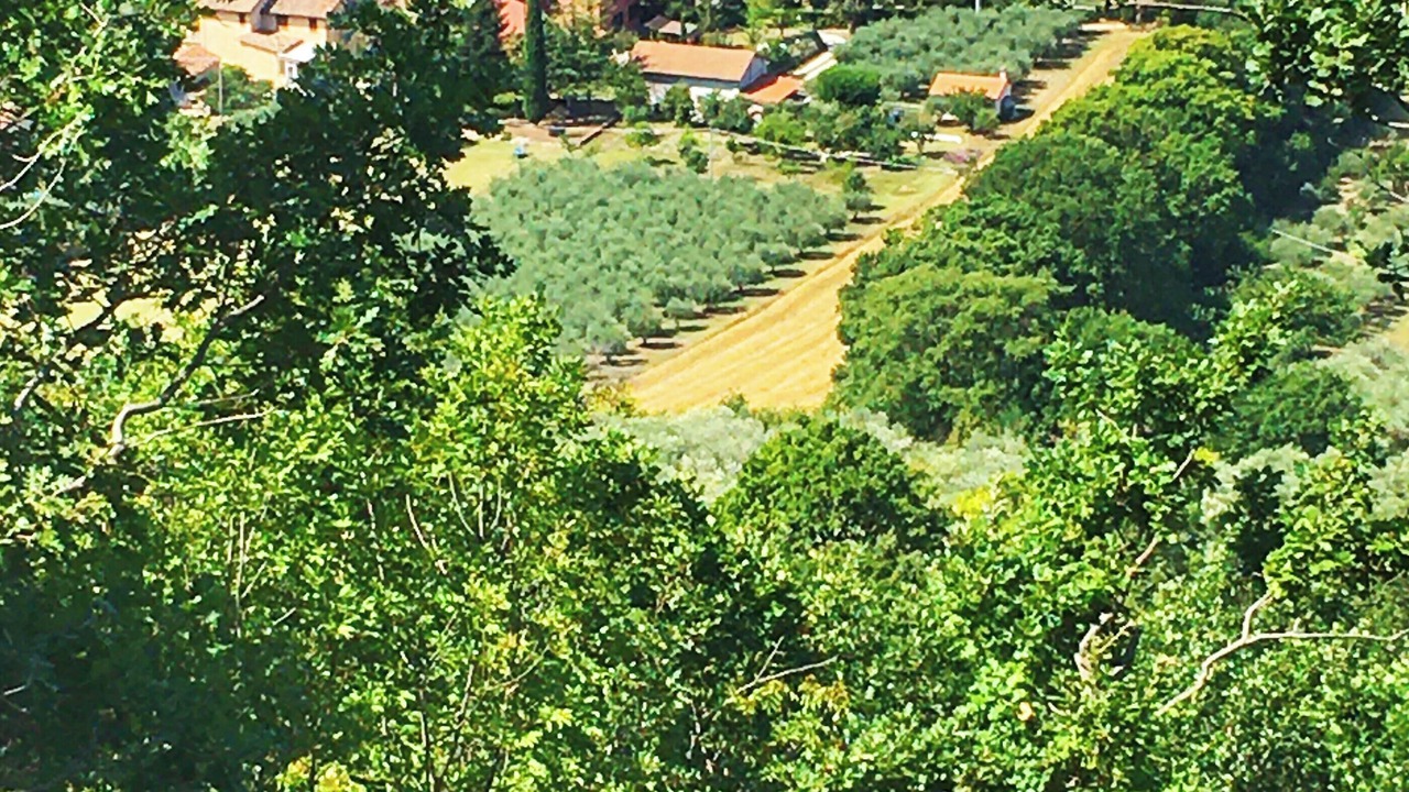 Photo of Outdoor in Corcia