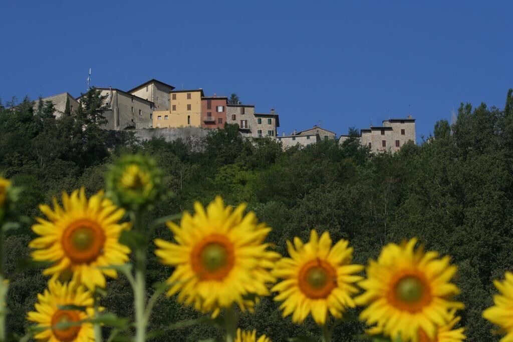 Photo of Outdoor in Montone