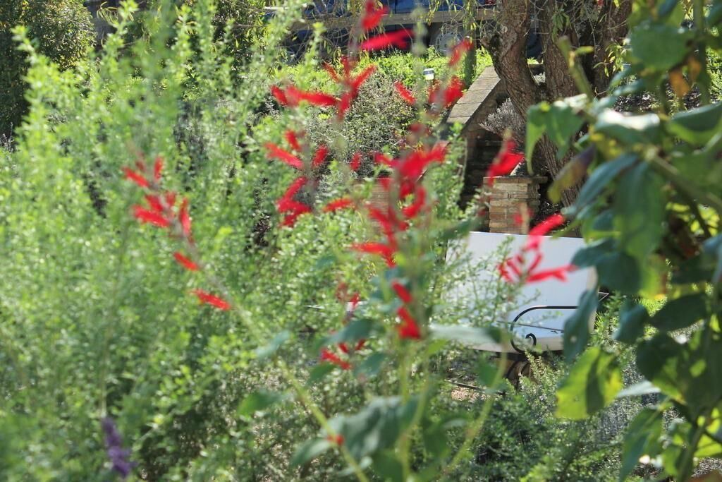 Photo of Outdoor in Montone