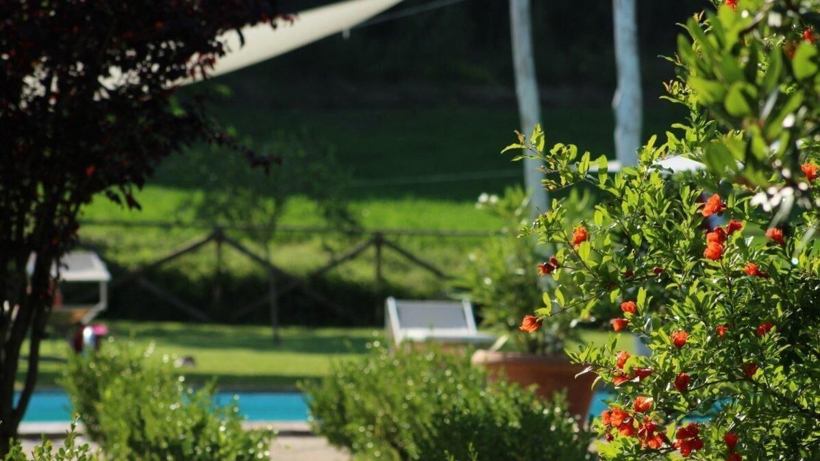 Photo of Outdoor in Montone