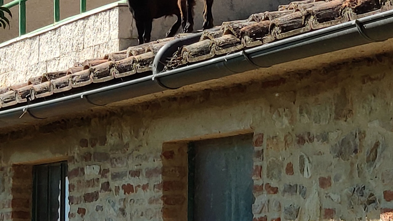 Photo of Outdoor in Ranciano