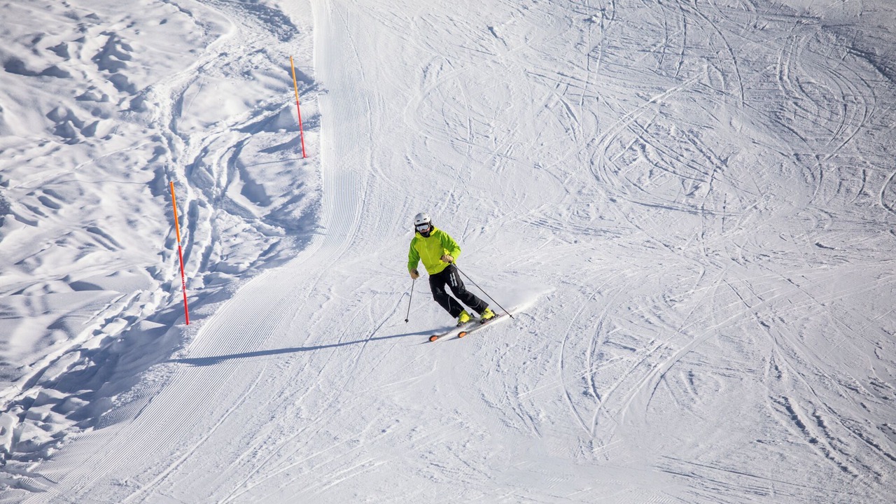 Photo of Others in Chamois