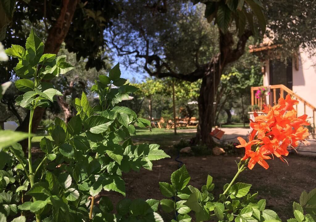 Photo of Outdoor in Nuova Cliternia