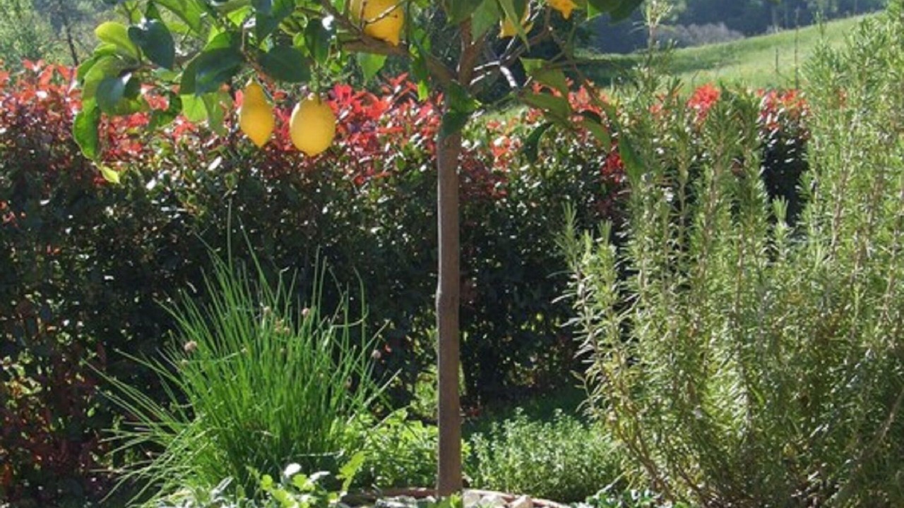Photo of Outdoor in Gualdo