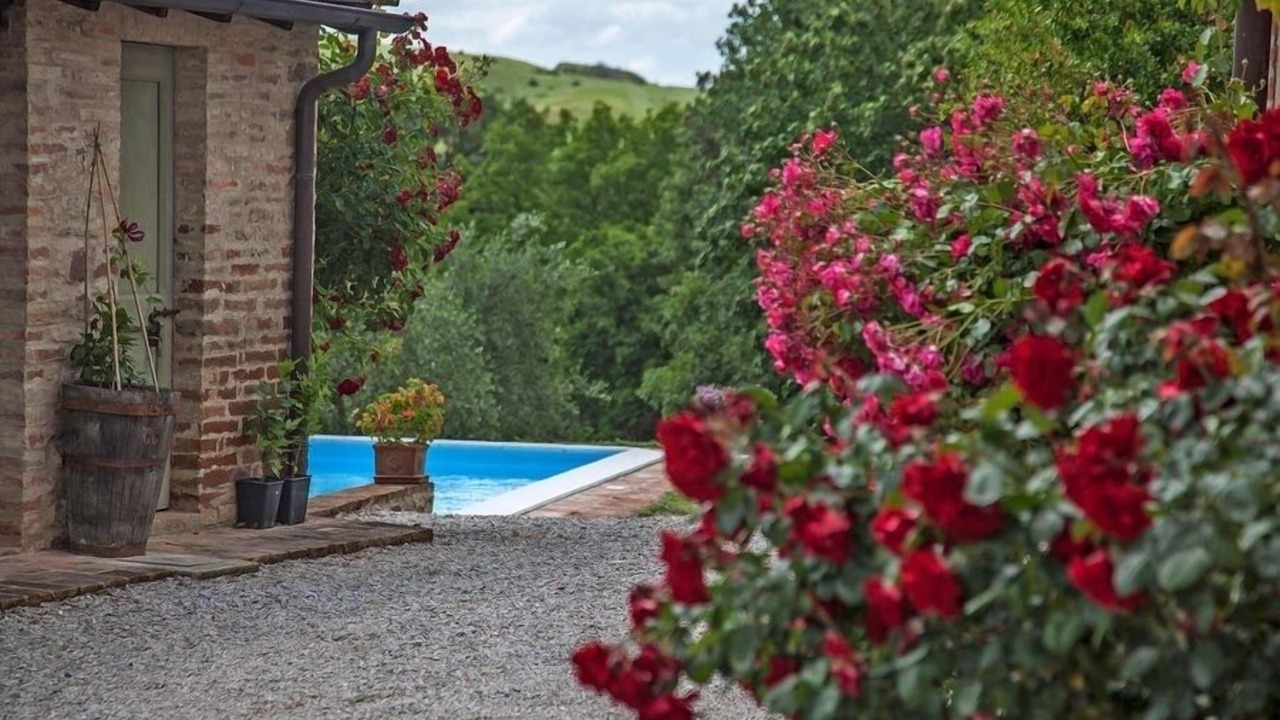 Photo of Outdoor in San Giovanni d'Asso