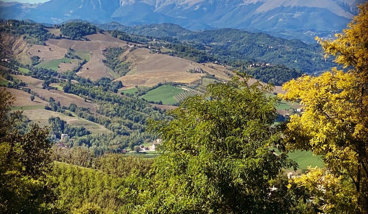 Photo of Others in Montelparo