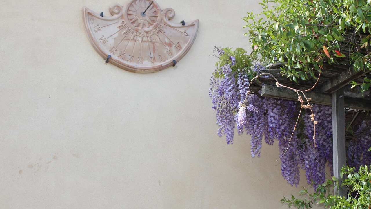 Photo of Outdoor in Bevagna