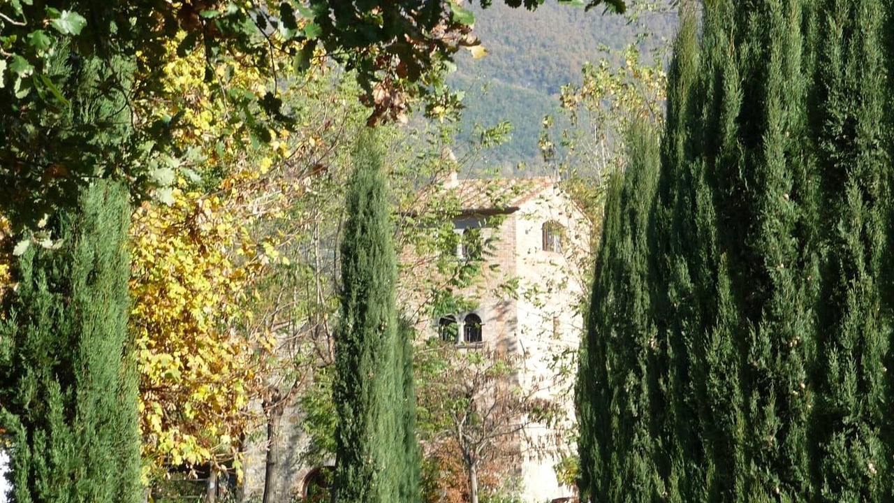 Photo of Outdoor in Cortona
