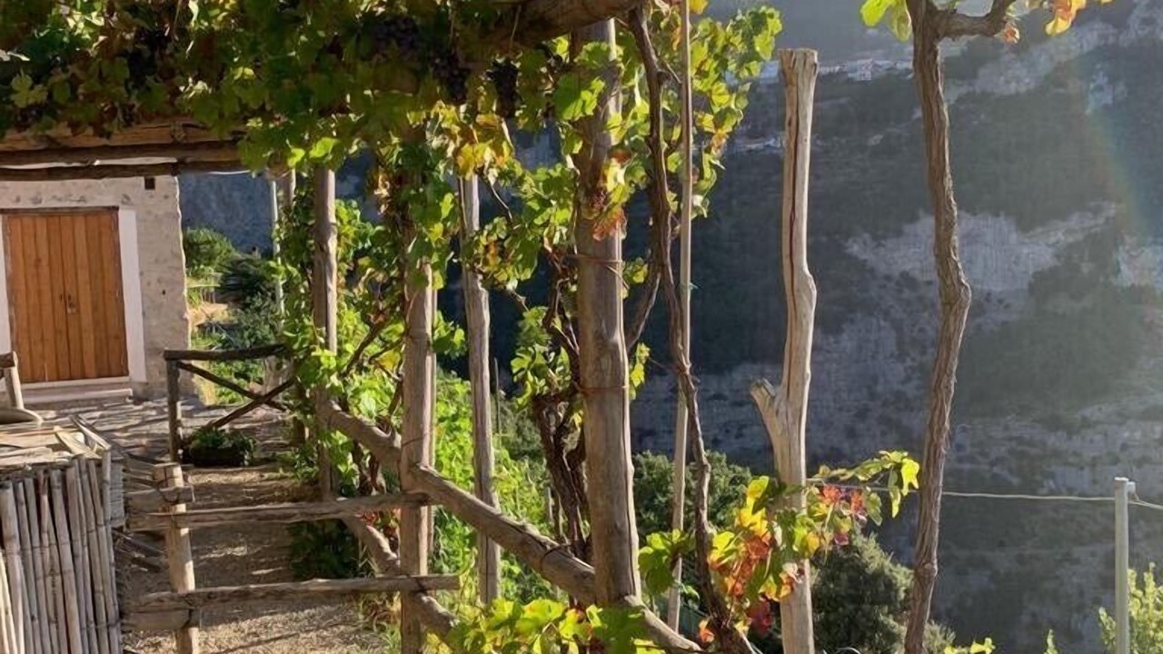 Photo of Outdoor in San Michele