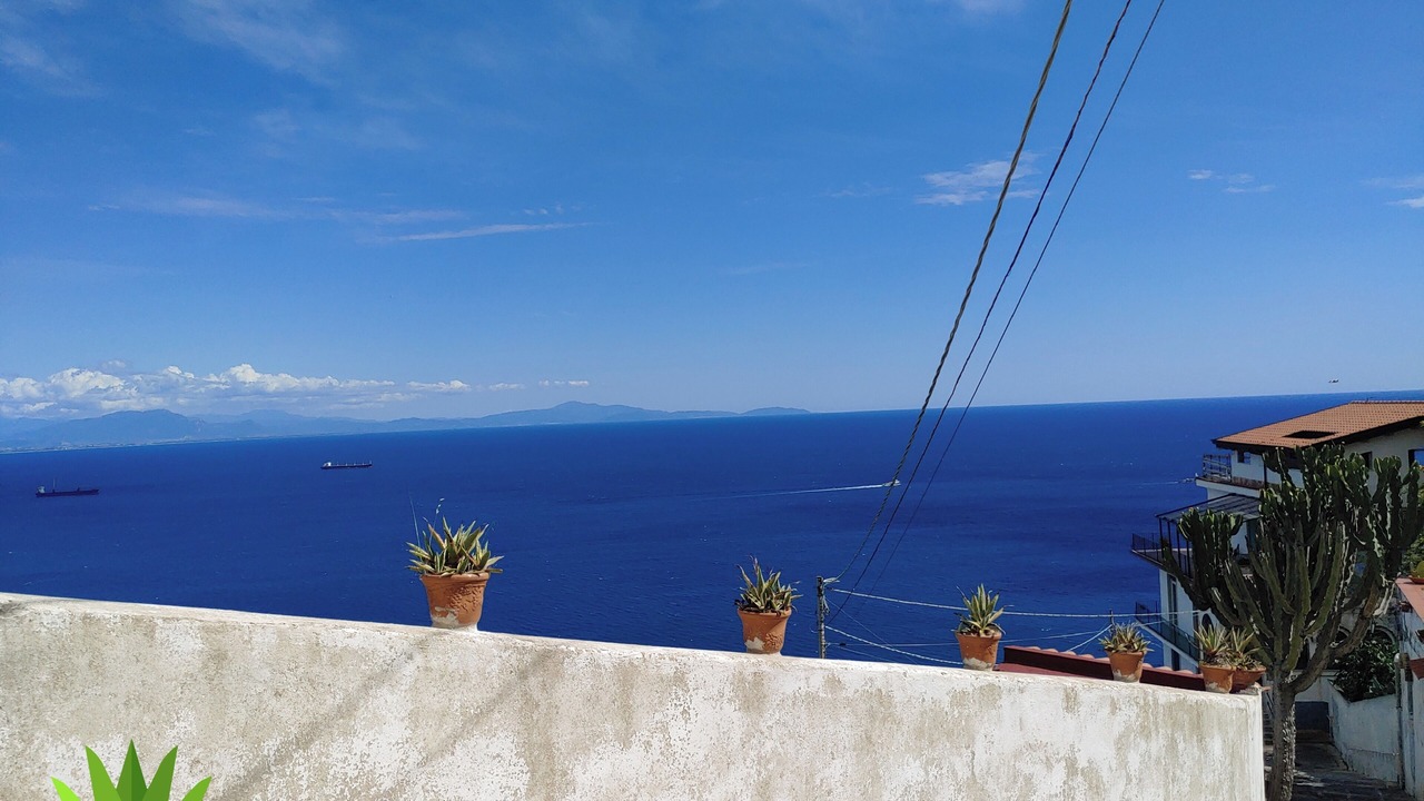 Photo of Outdoor in Raito