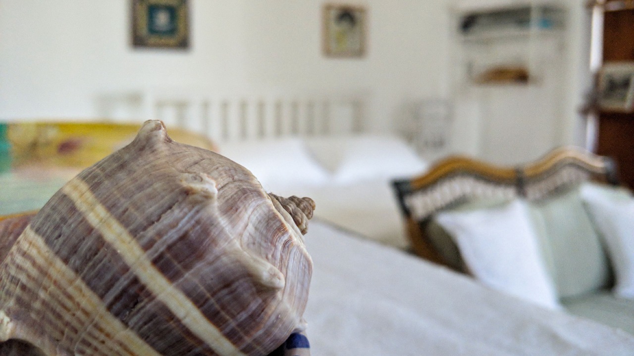 Photo of Bedroom in Raito