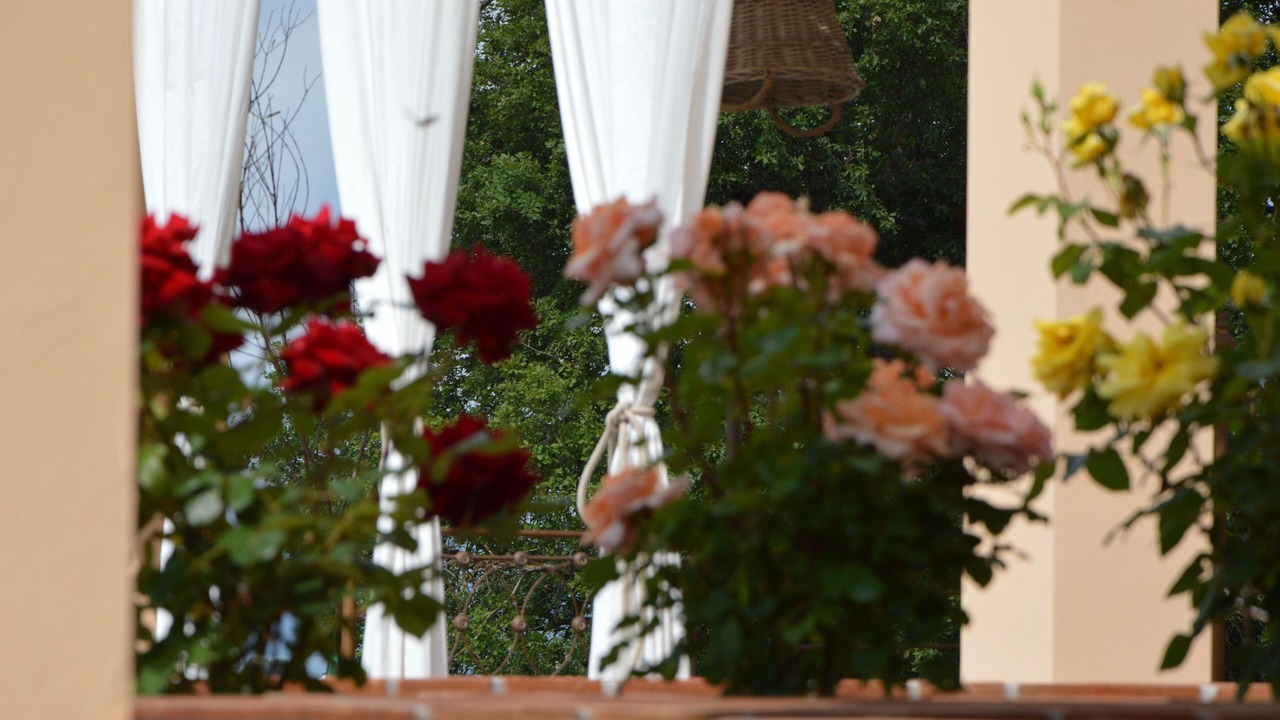 Photo of Outdoor in Capodimonte