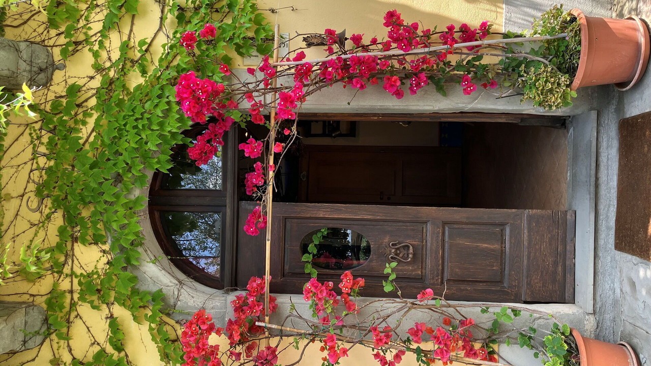 Photo of Others in Cortona