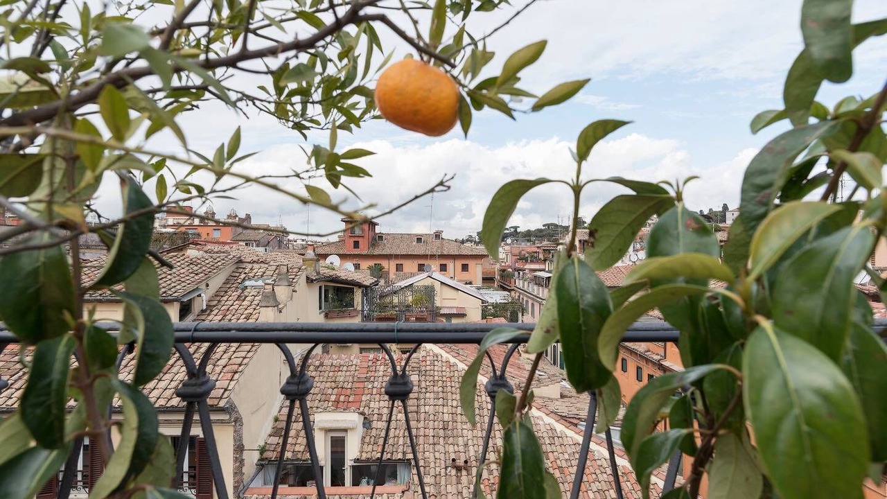 Photo of Outdoor in Rione IV Campo Marzio