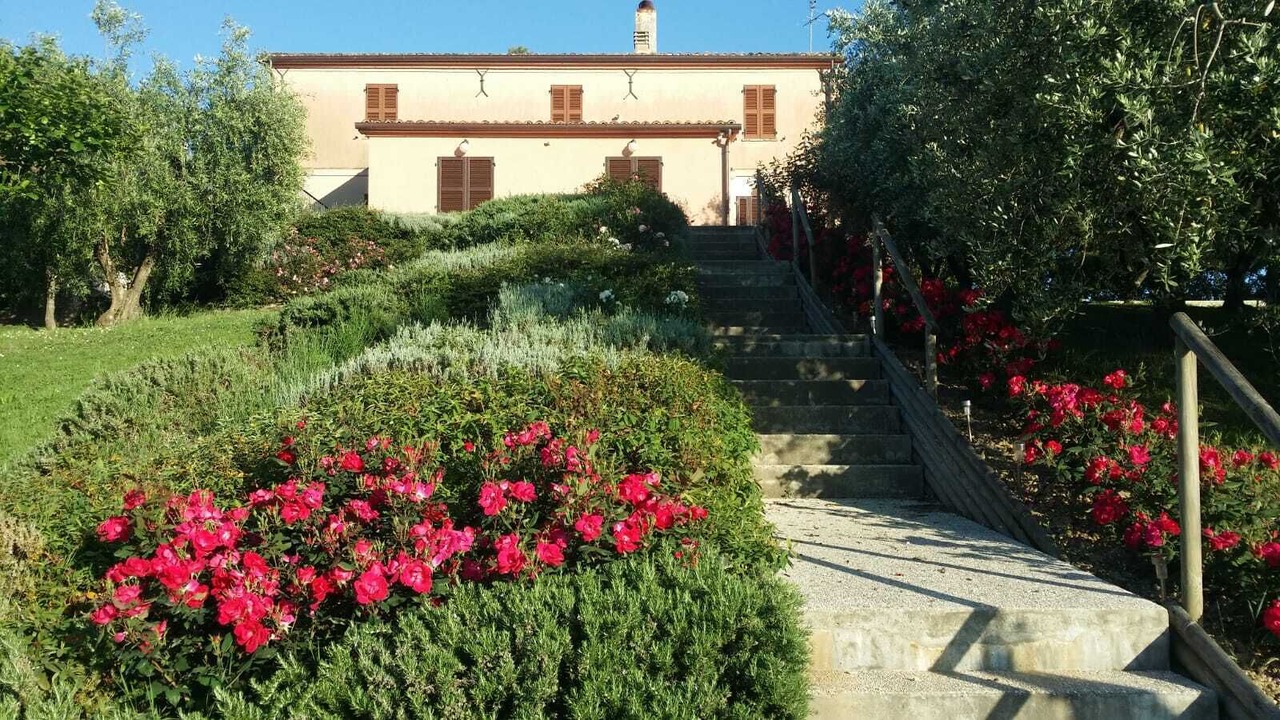 Photo of Others in Ostra