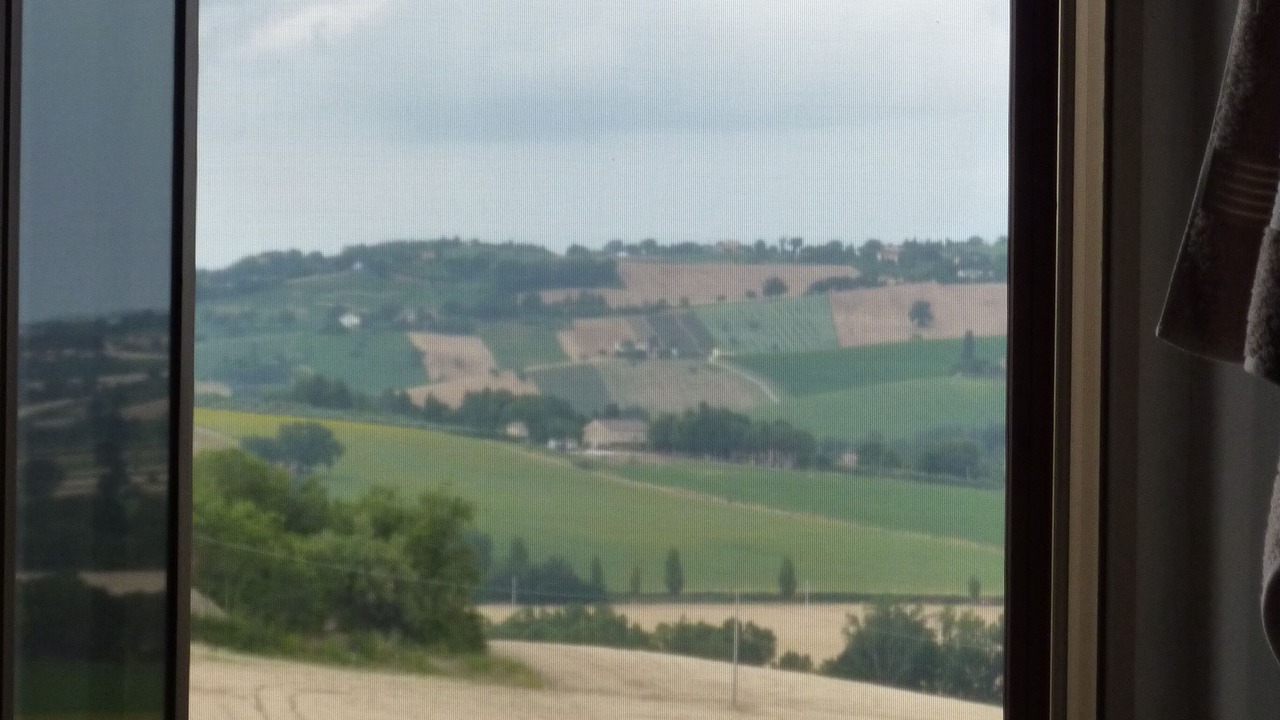 Photo of Others in Ostra