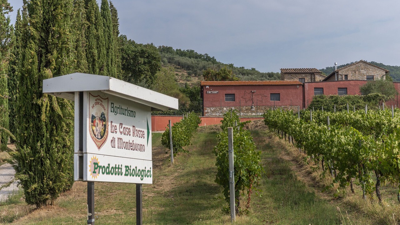 Photo of Outdoor in Magione