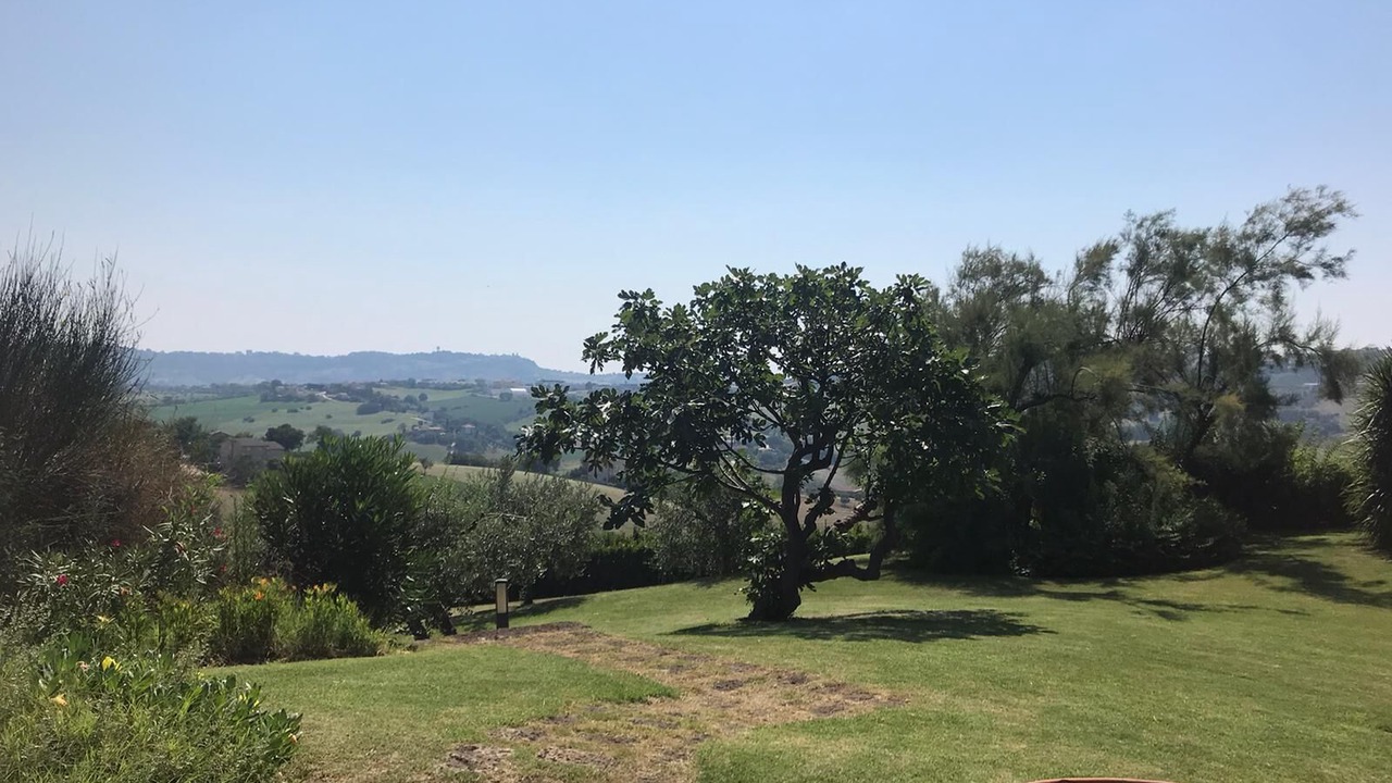 Photo of Outdoor in Montegranaro