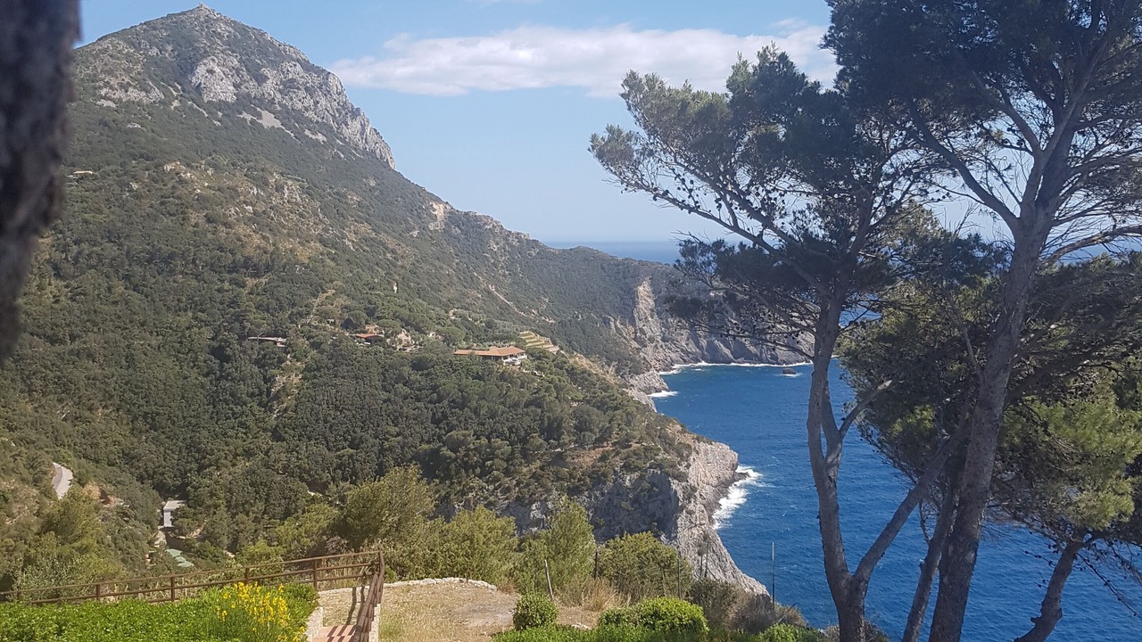 Photo of Others in Capalbio