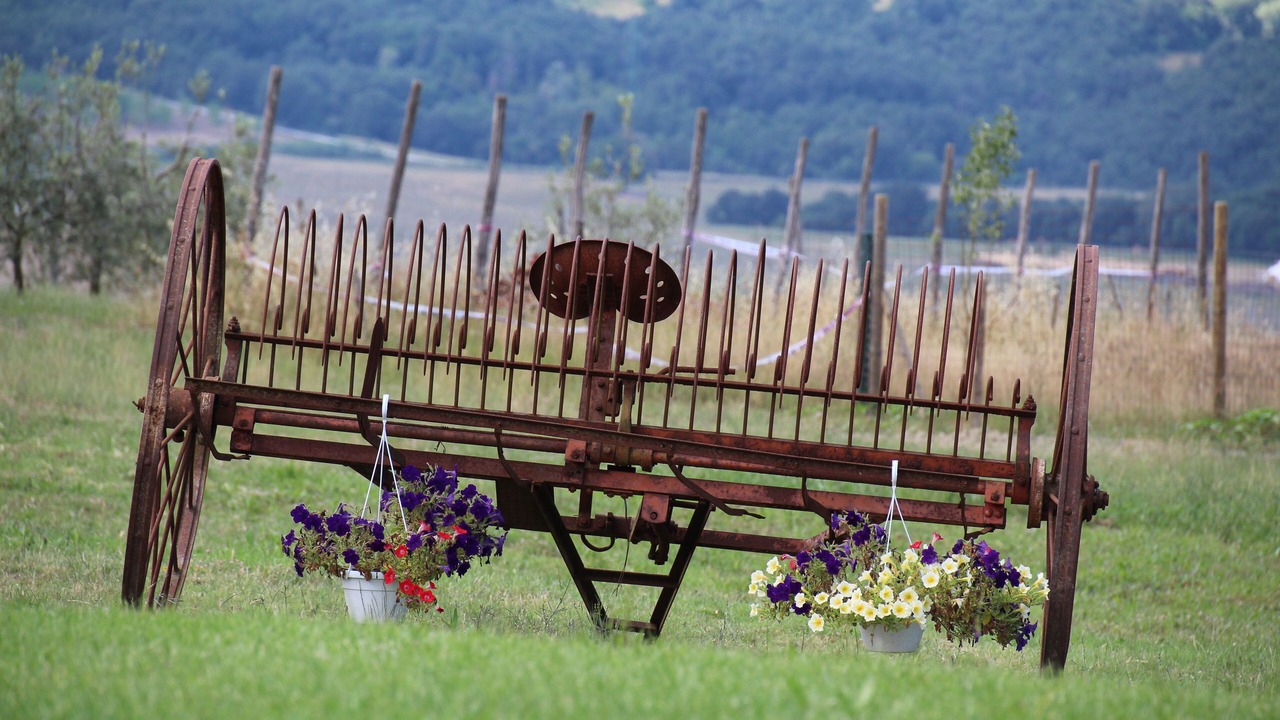 Photo of Outdoor in Casole d'Elsa