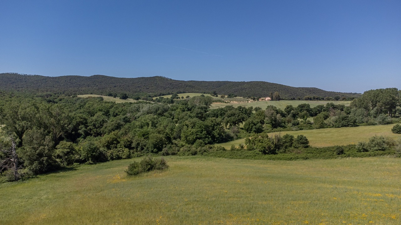 Photo of Others in Magliano in Toscana