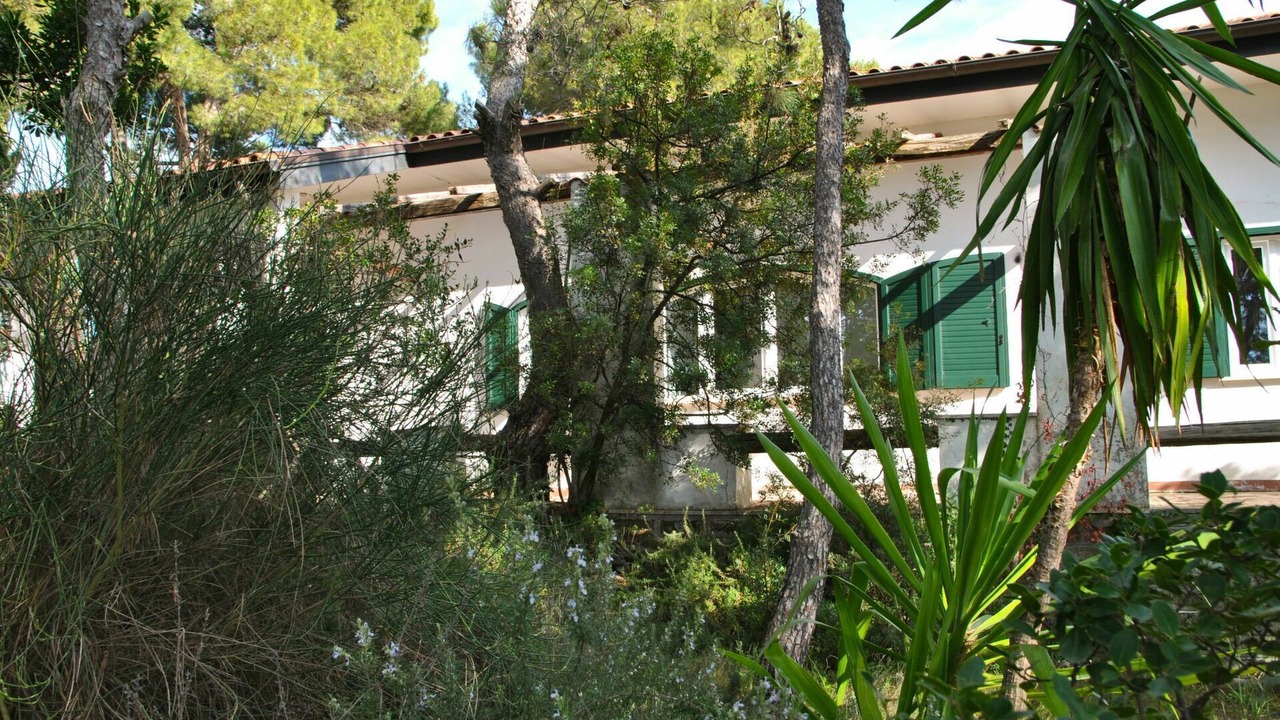 Photo of Others in Sperlonga