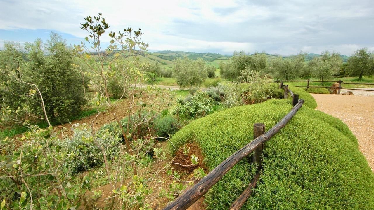 Photo of Outdoor in Manciano